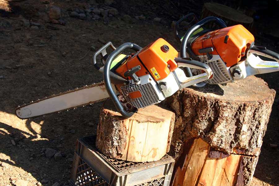 Tree service
